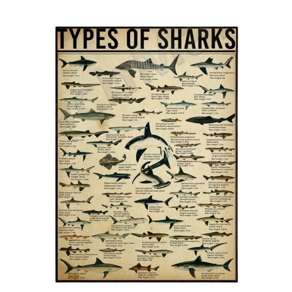 Shark Metal Tin Sign NWT